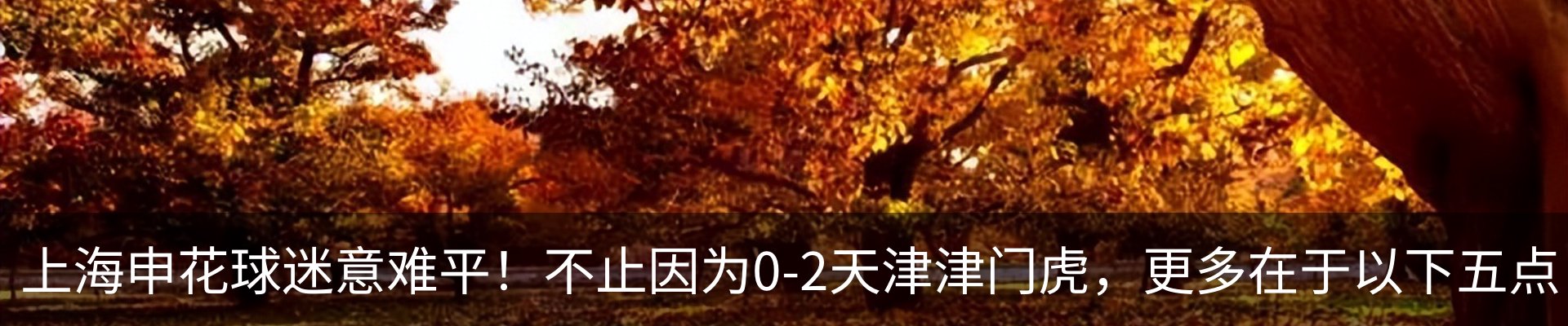 新闻动态