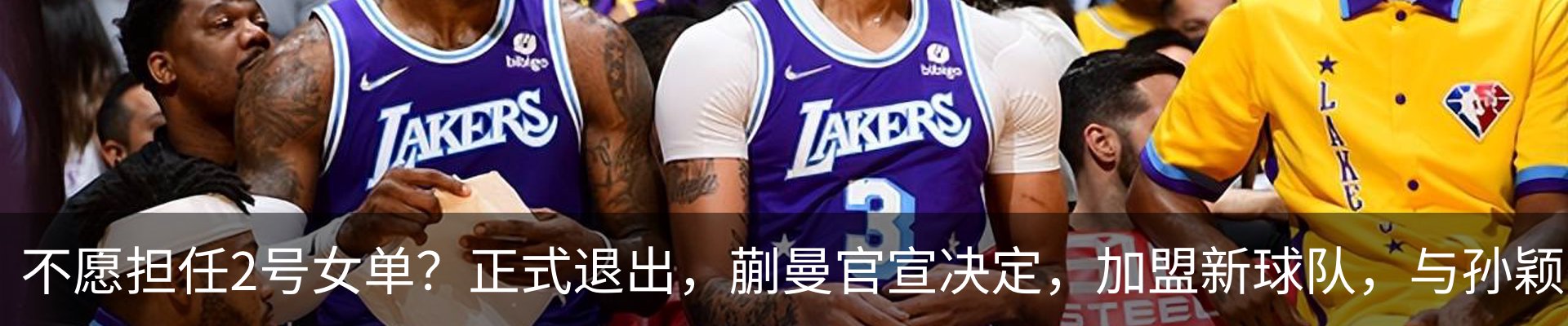 新闻动态