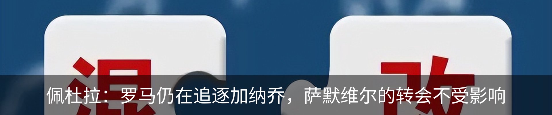 新闻动态