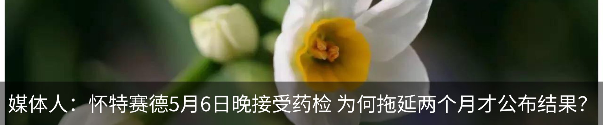 新闻动态