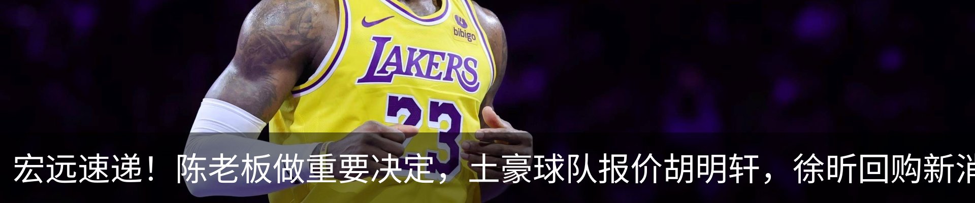新闻动态