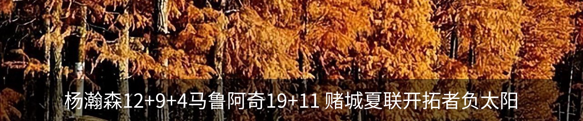 新闻动态