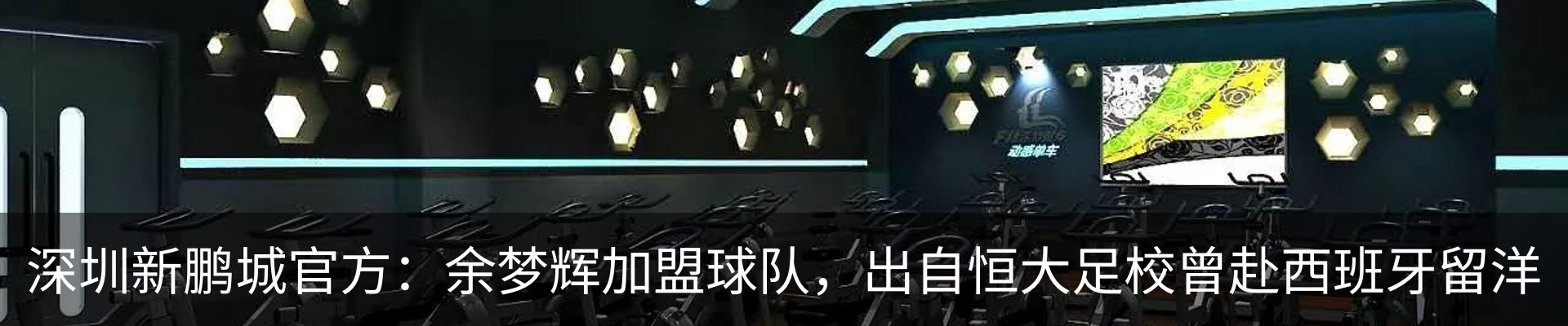 新闻动态