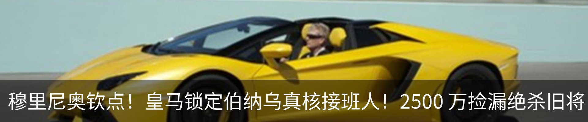 新闻动态