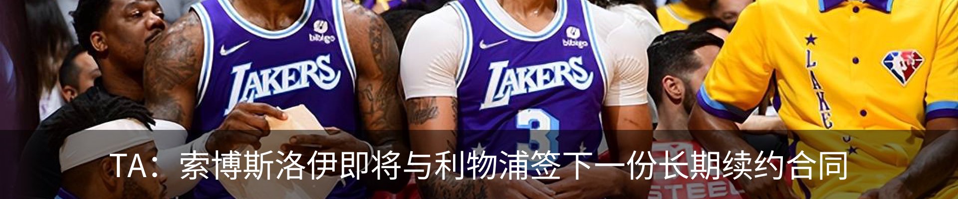 新闻动态